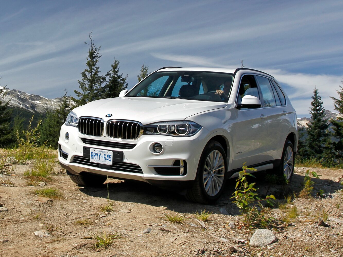 BMW X5 III (2013-2018) - Внедорожник 5 дв.