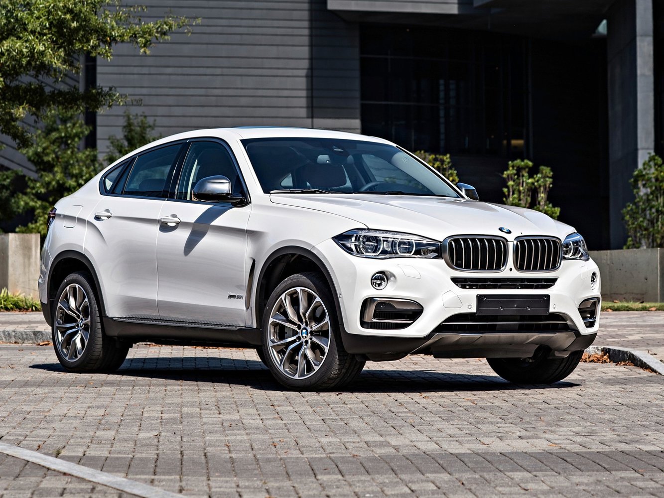 BMW X6 II (2014-2019) - Внедорожник 5 дв.