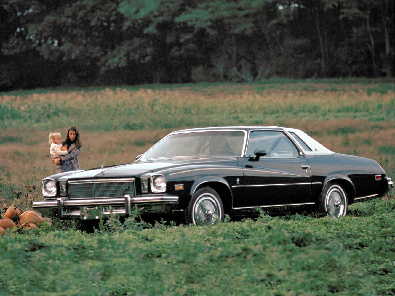 Buick Regal I (1973-1977) - Купе