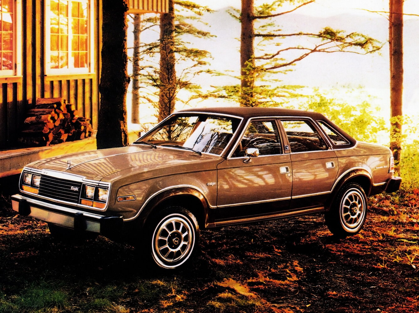 AMC Eagle I (1979-1987) - Седан