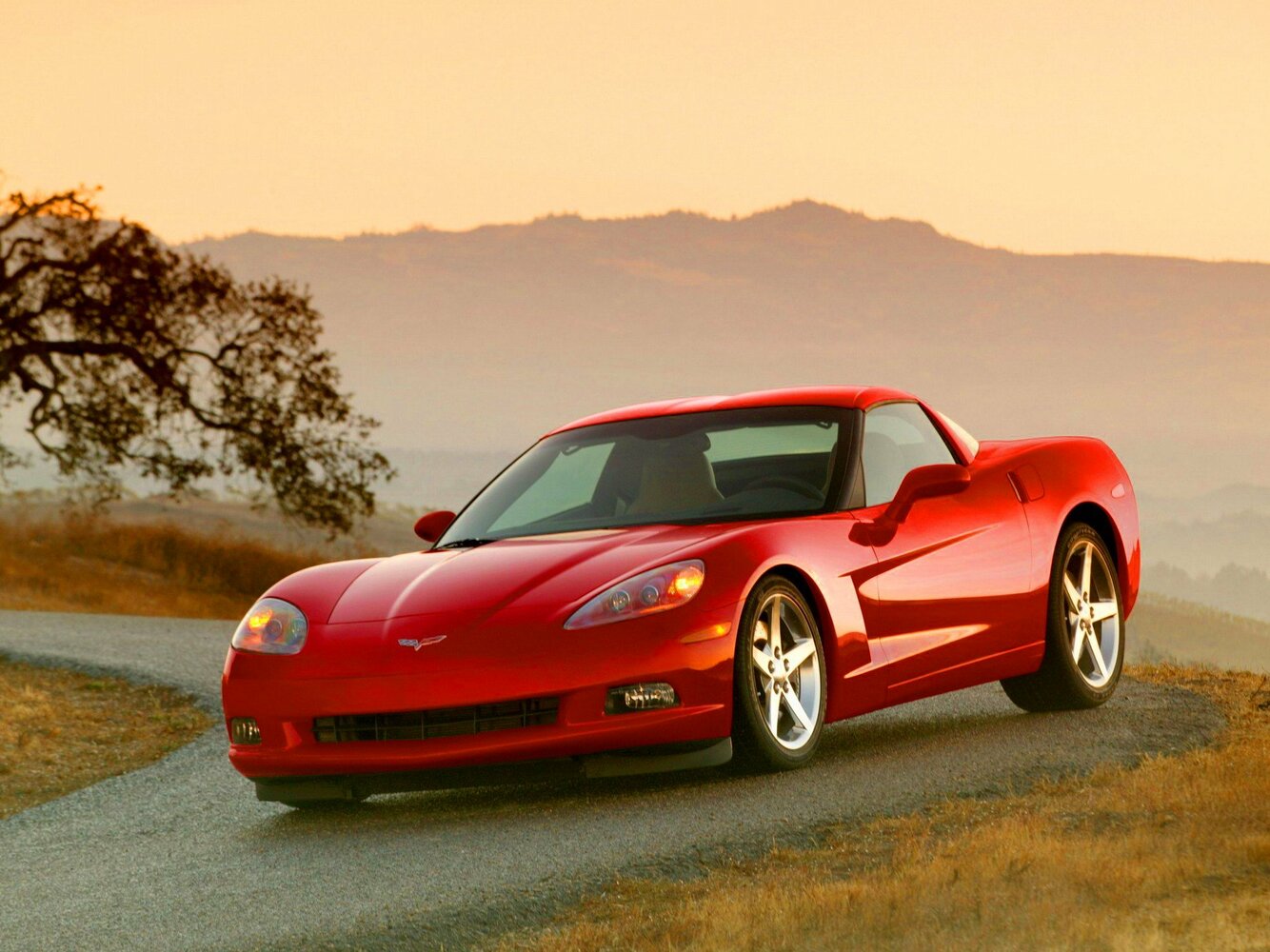 Chevrolet Corvette C6 (2004-2014) - Тарга