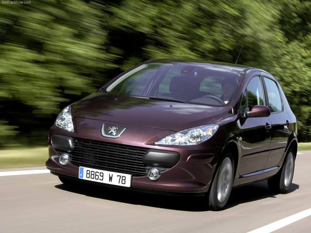 Peugeot 307 I (2001-2008) - Хэтчбек 5 дв.