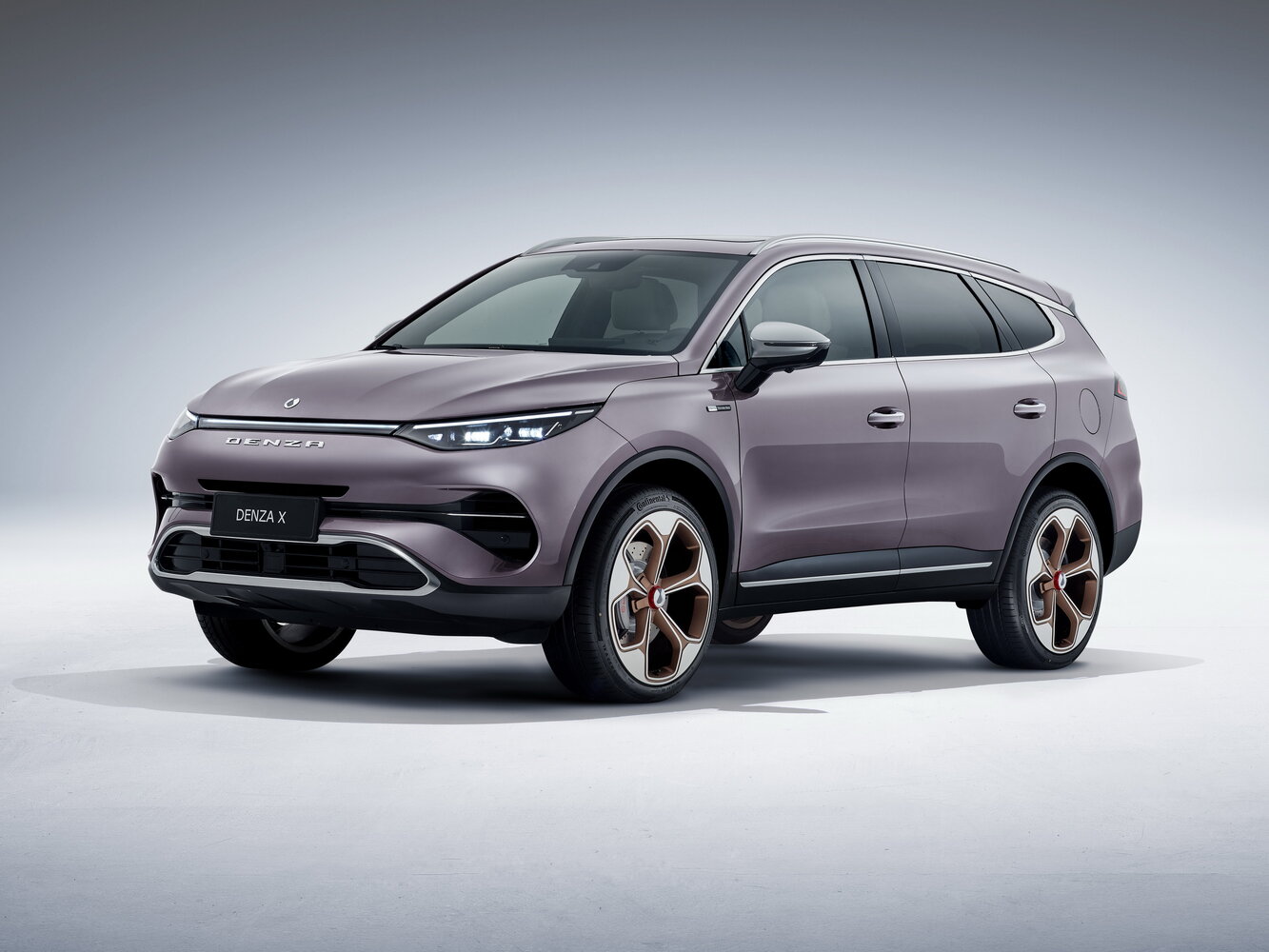 Denza X I (2019-2022) - Внедорожник 5 дв.