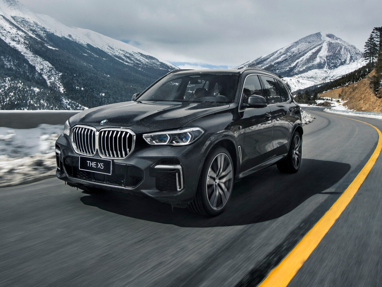 BMW X5 IV (2018-2026) - Внедорожник 5 дв. Long