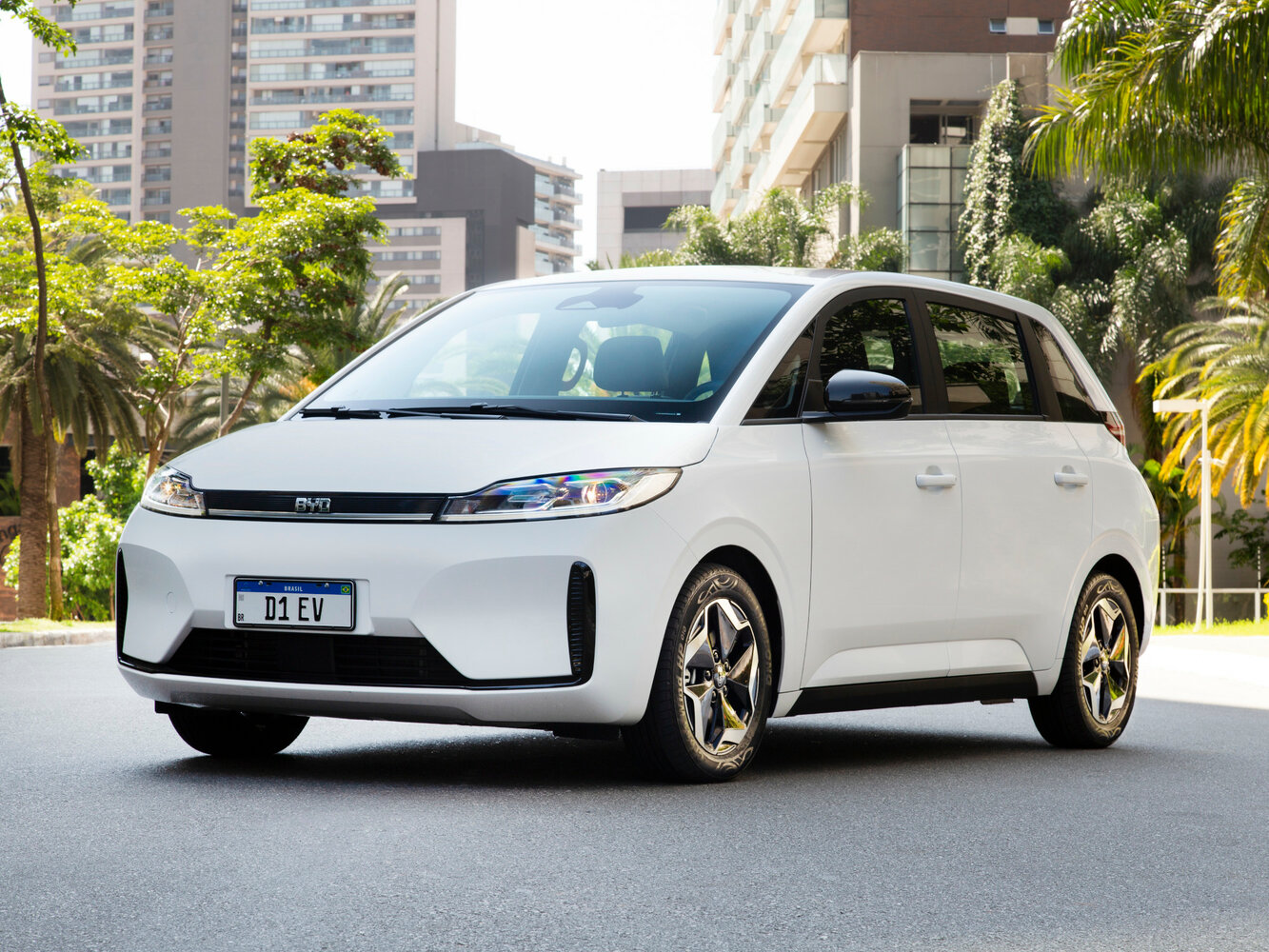 BYD D1 I (2020-2026) - Компактвэн