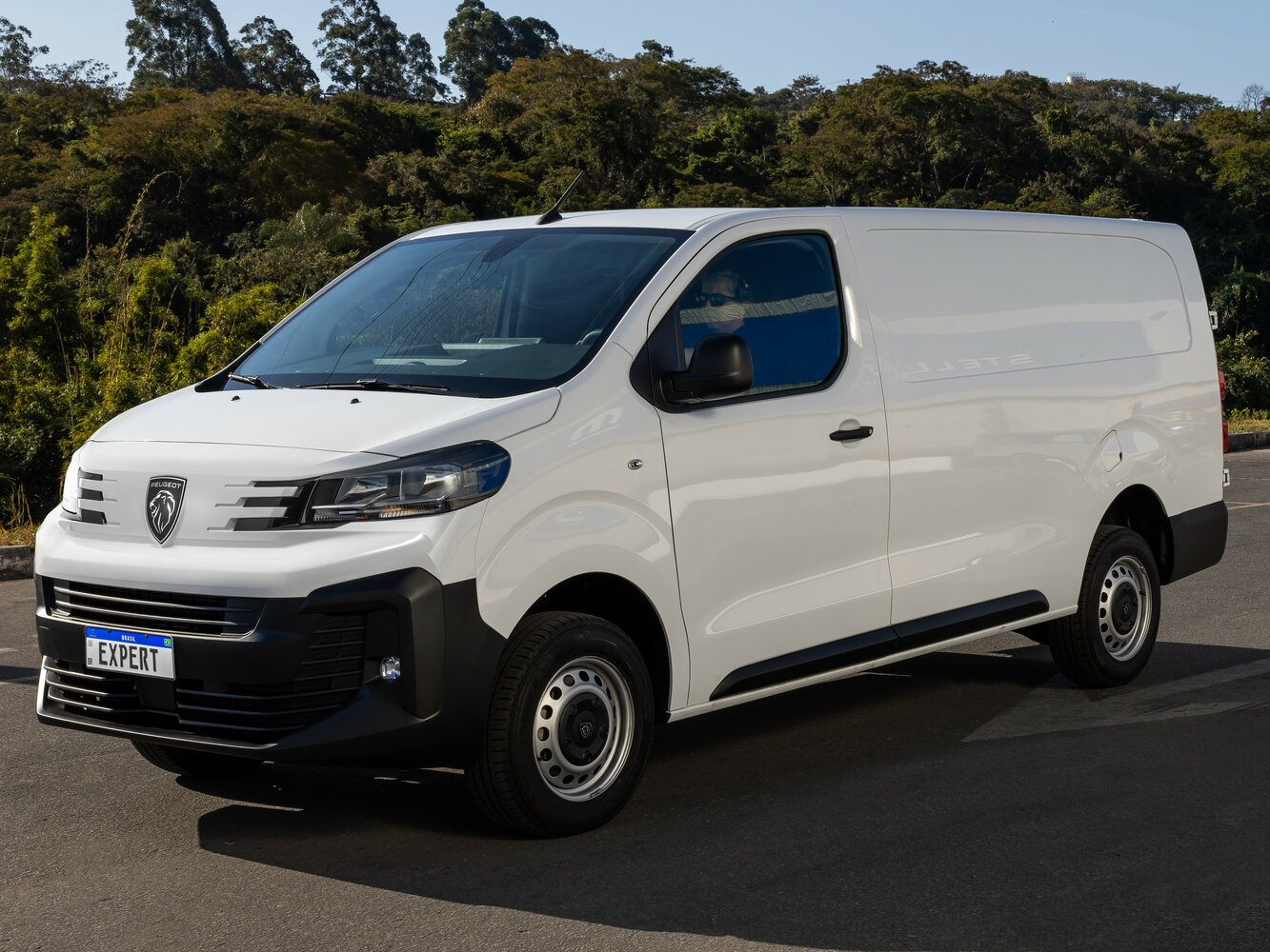 Peugeot Expert III (2016-2026) - Фургон