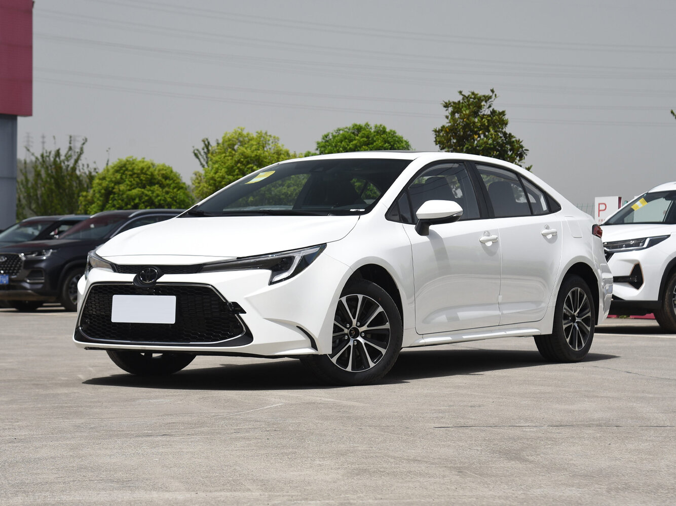 Toyota Levin XII (2019-2026) - Седан