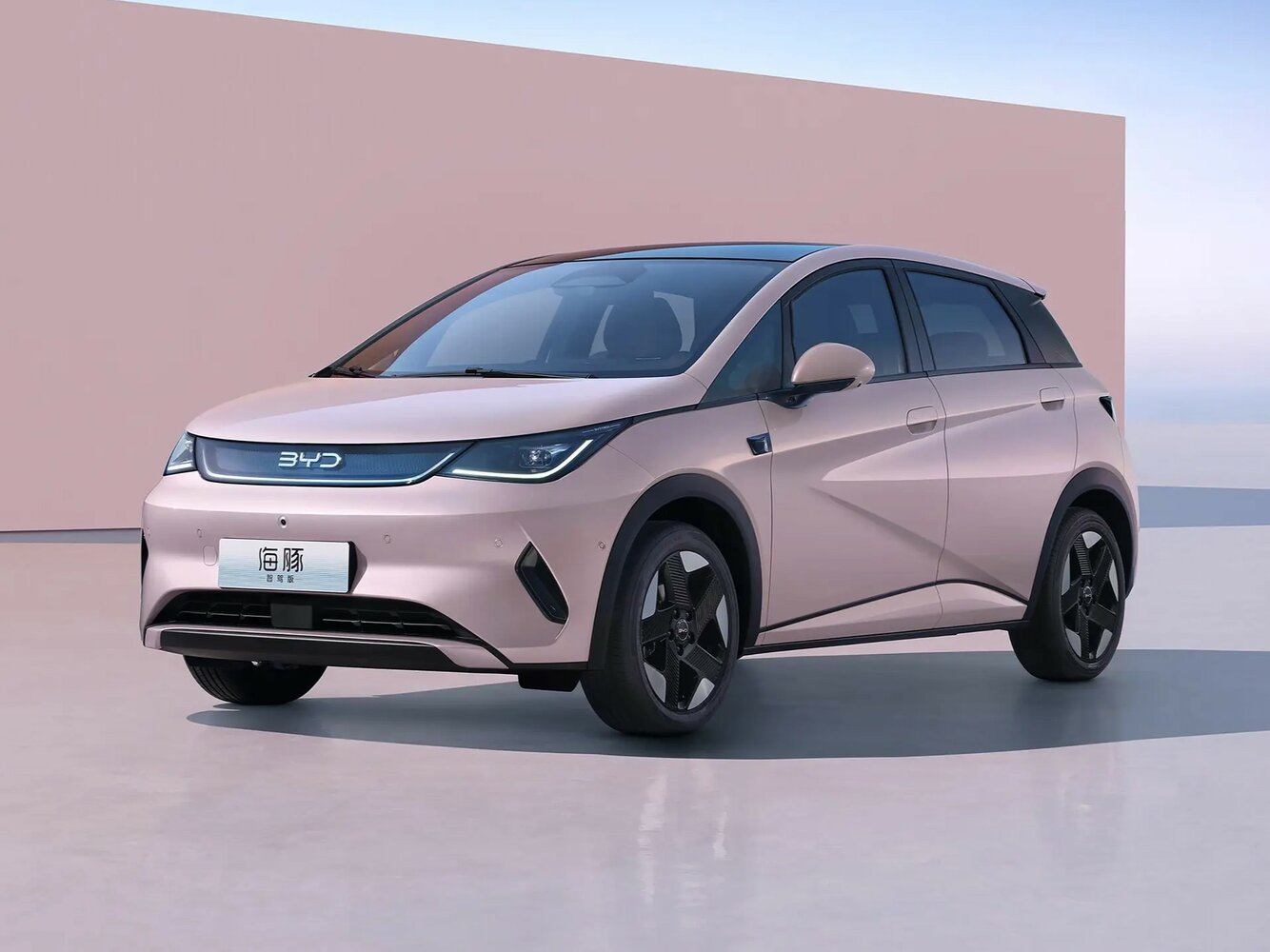 BYD Dolphin I (2021-2026) - Хэтчбек 5 дв.