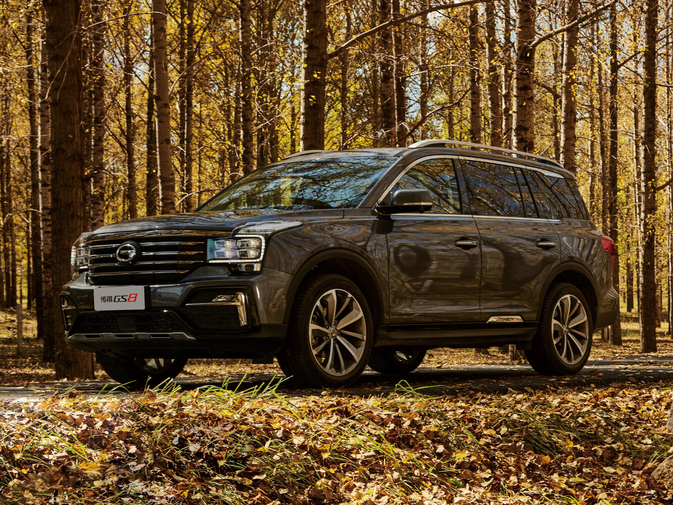 GAC Trumpchi GS8 I (2016-2021) - Внедорожник 5 дв.