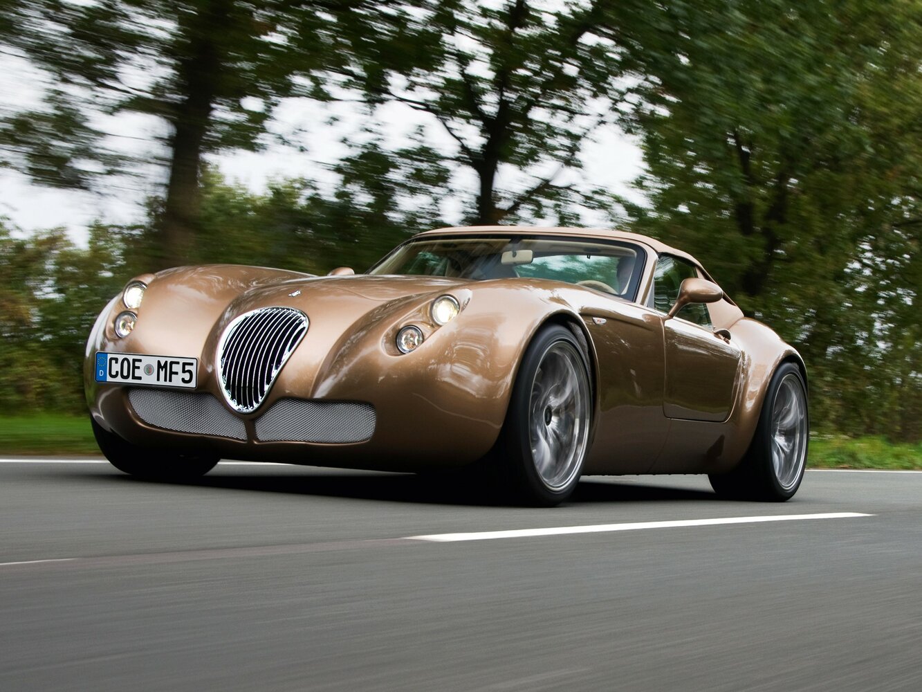 Wiesmann Roadster IV (2009-2014) - Родстер