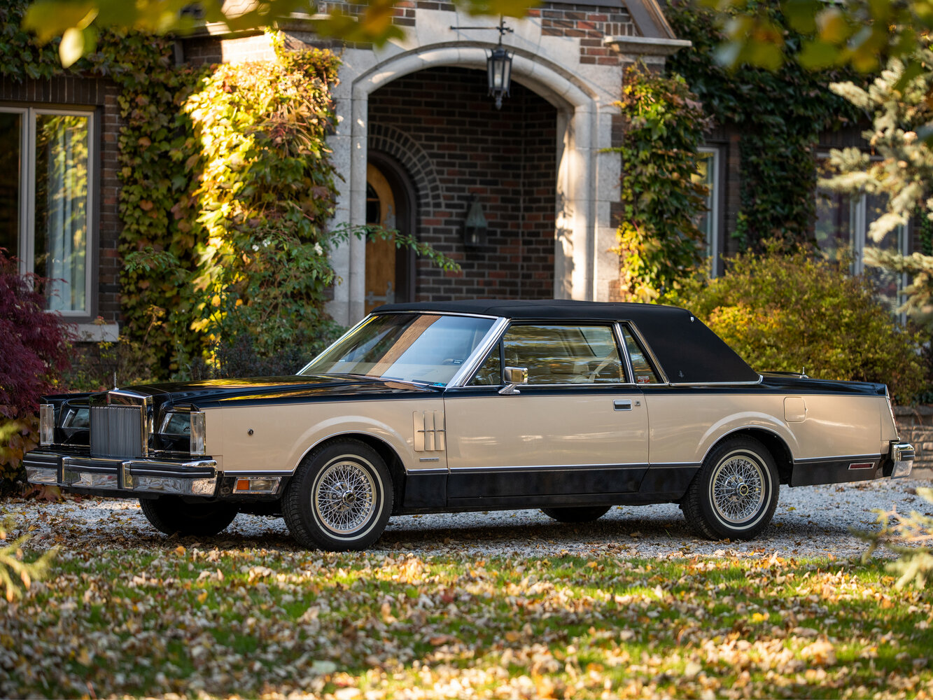 Lincoln Continental Mark VI (1980-1983) - Купе