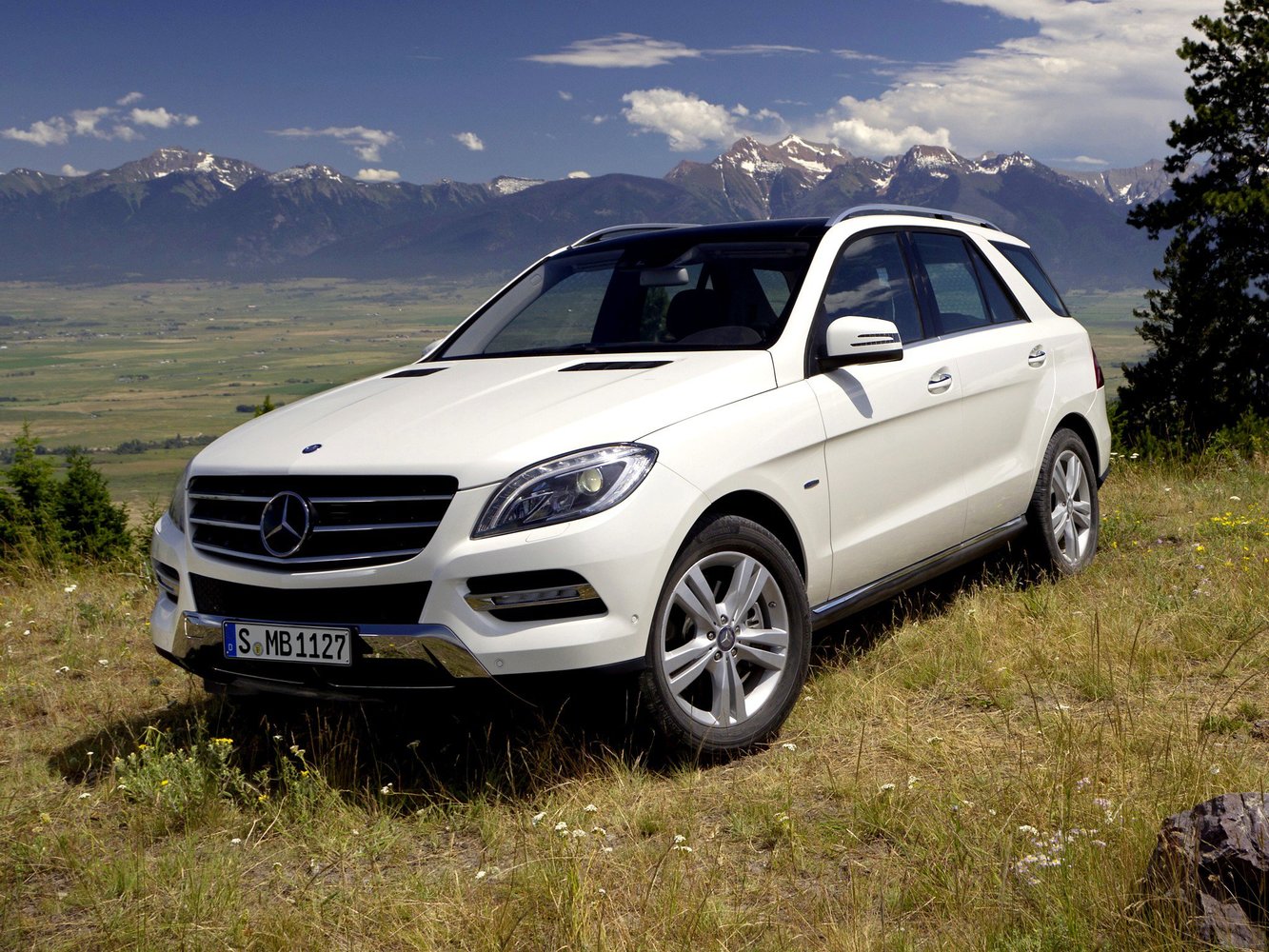 Mercedes-Benz M-Класс III (2011-2015) - Внедорожник 5 дв.